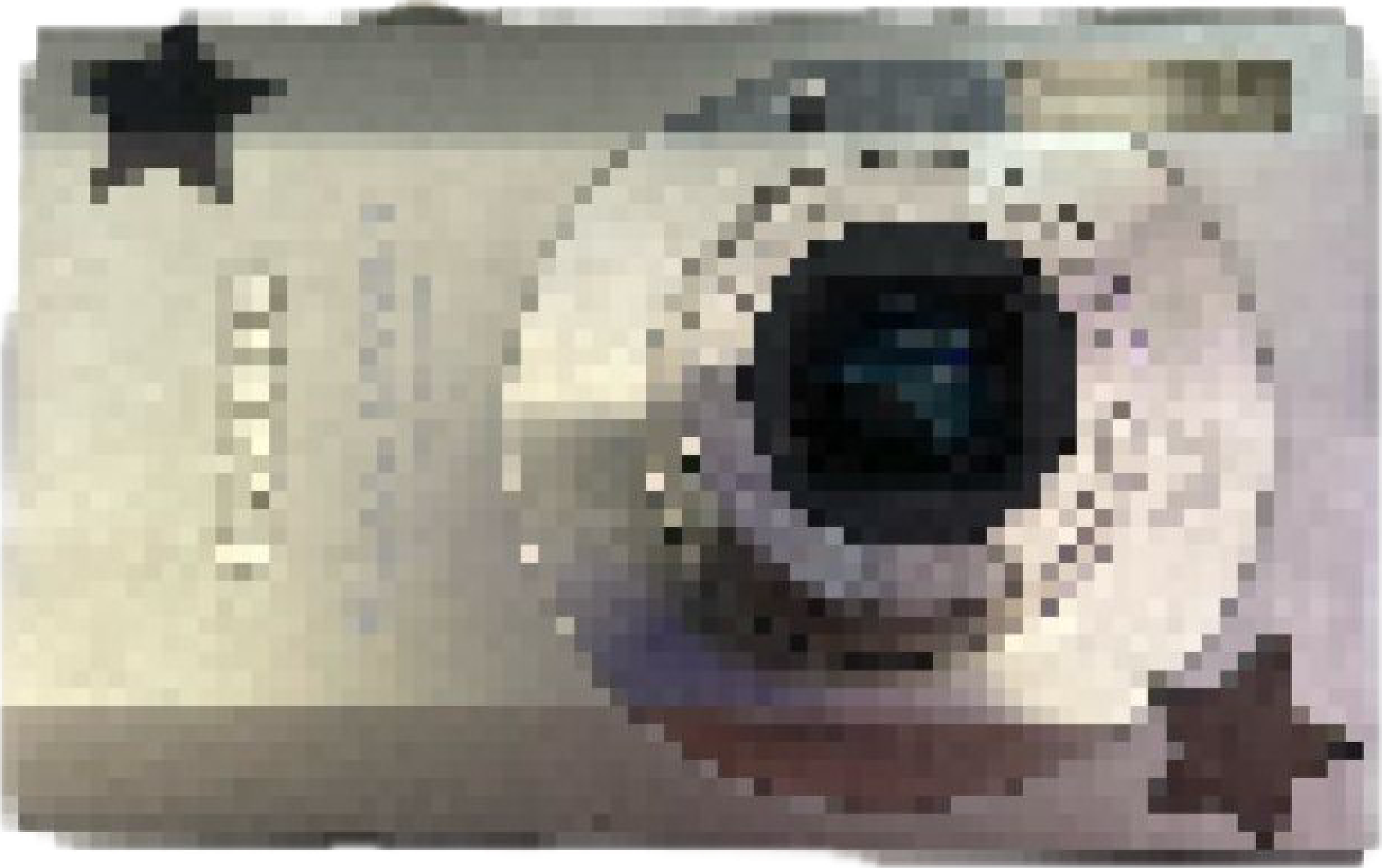 Pixel Camera